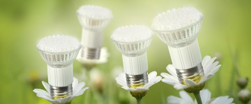 LedVerlichting Blog P. Hoekwater B.V., Aalsmeer